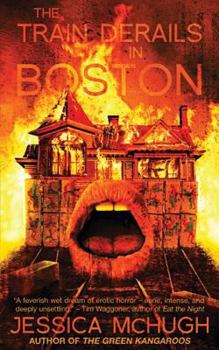 Paperback The Train Derails in Boston Book