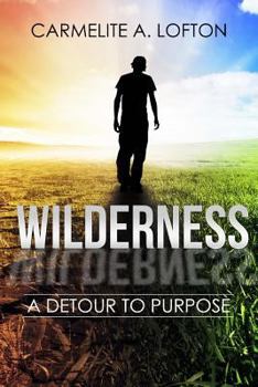Paperback The Wilderness: A Detour to Purpose Book