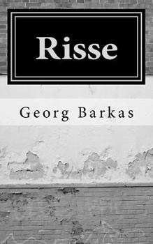 Paperback Risse: Eine Erinnerung [German] Book