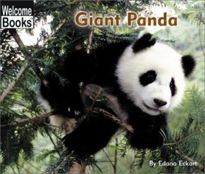 Paperback Giant Panda Book