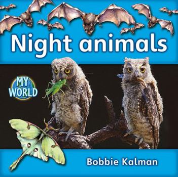 Paperback Night Animals Book
