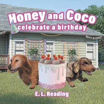 Paperback Honey and Coco celebrate a birthday Book