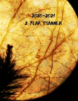 2020-2021 2 Year Planner: Record Your Daily Appointments, Schedule, Priorities, To-Do Lists & Important Reminders for 2 Years in this 131 page 1 ... Planner / Journal; One Week Per Page (moon)