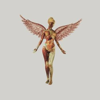 Vinyl In Utero (30th Anniversary Super Deluxe Edition) Book