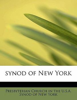 Paperback Synod of New York Book