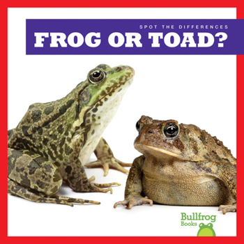 Library Binding Frog or Toad? Book