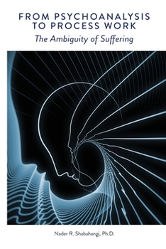Paperback From Psychoanalysis to Process Work: The Ambiguity of Suffering Book