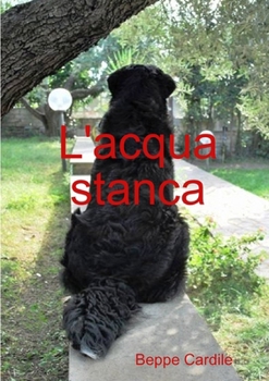 Paperback L'acqua stanca [Italian] Book