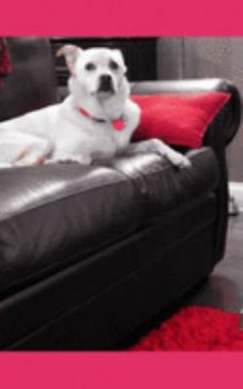 Paperback Pequenos Cuentos Infantiles [Spanish] Book