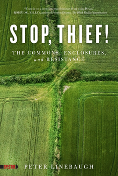 Paperback Stop, Thief!: The Commons, Enclosures, and Resistance Book