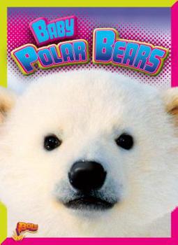 Hardcover Baby Polar Bears Book