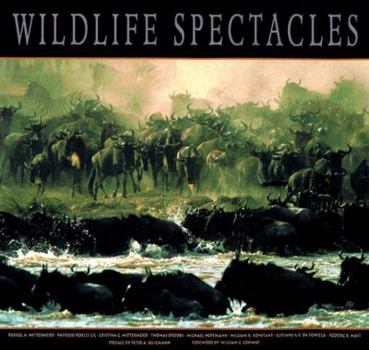 Hardcover Wildlife Spectacles Book
