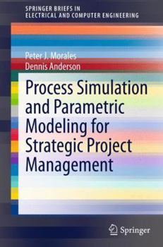 Paperback Process Simulation and Parametric Modeling for Strategic Project Management Book