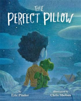 Hardcover The Perfect Pillow Book