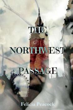 Paperback The Northwest Passage Book