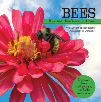 Hardcover Bees: Honeybees, Bumblebees, and More! Book