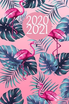 2020 2021: Schulplaner f�r das Jahr 2020 und 2021 mit Platz f�r Deine Termine