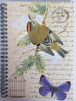 Spiral-bound Goldcrest A5 Spiral Notepad Book