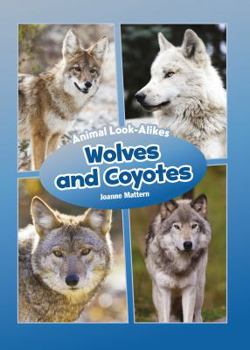 Library Binding Wolves and Coyotes Book