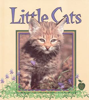 Paperback Little Cats Book