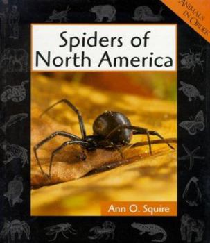 Library Binding Spiders of North America Book