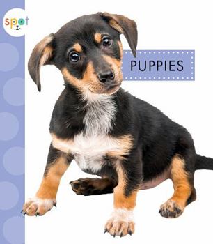 Puppies - Book  of the Spot Baby Farm Animals