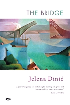 Paperback The Bridge Book