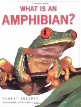 Paperback What Is an Amphibian? Book