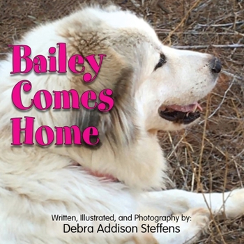 Paperback Bailey Comes Home Book
