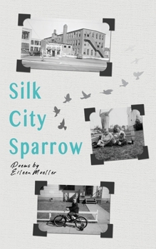 Paperback Silk City Sparrow Book