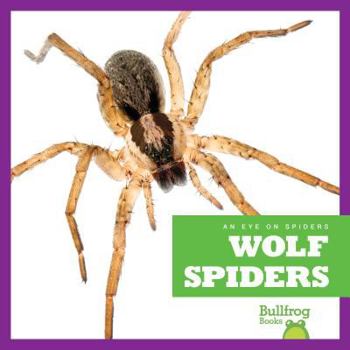 Library Binding Wolf Spiders Book