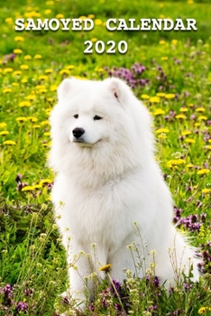 Samoyed Calendar 2020: Calendars Gift 110 Pages 6x9 Soft Cover Matte Finish