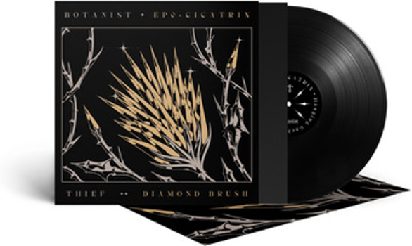 Vinyl Cicatrix / Diamond Brush Book