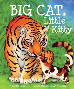 Paperback Big Cat, Little Kitty Book