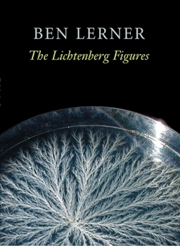 Paperback The Lichtenberg Figures Book