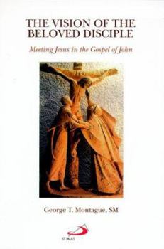 Paperback The Vision of the Beloved Disciple: Meeting Jesus in the Gospel of John Book