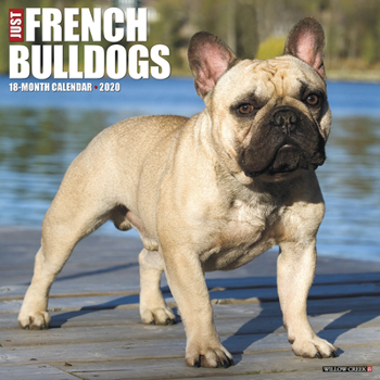 Calendar Just French Bulldogs 2020 Wall Calendar (Dog Breed Calendar) Book