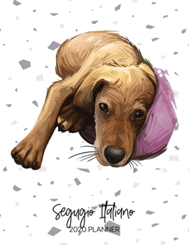 Segugio Italiano 2020 Planner: Dated Weekly Diary With To Do Notes & Dog Quotes (Awesome Calendar Planners for Dog Owners - Pedigree Puppy Breed)