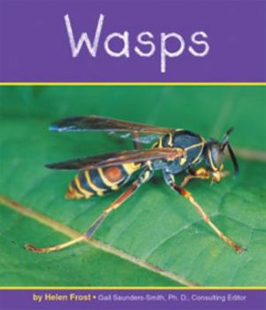 Wasps - Book  of the Insects