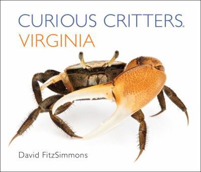 Board book Curious Critters Virginia Book