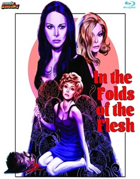 Blu-ray In The Folds Of The Flesh Book