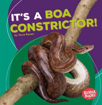 It's a Boa Constrictor! - Book  of the Animales de la Selva Tropical