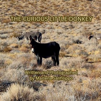 Paperback The Curious Little Donkey: Adventure is around every corner. Don't be afraid to explore [Large Print] Book