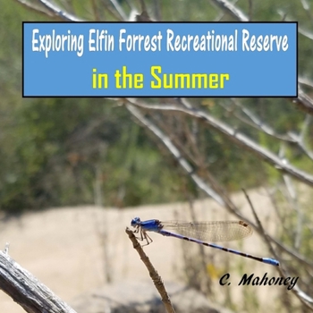 Exploring Elfin Forrest Recreational Reserve in the Summer