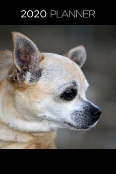 Planner: 2020 diary: Increase productivity, improve time management, reach your goals: Close up Chihuahua: Modern artistic photography style cover