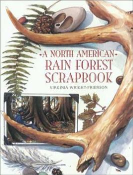 Paperback A North American Rain Forest Scrapbook Book