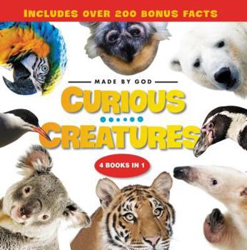 Hardcover Curious Creatures: 4 Books in 1 Book