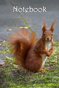 Paperback Notebook: Squirrel, Red - Bespoke, personalised notebook. Contact us if you would like your own image, name or other text on a b Book