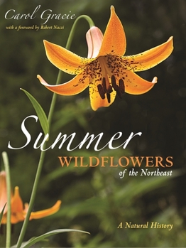 Paperback Summer Wildflowers of the Northeast: A Natural History Book