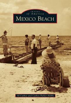 Paperback Mexico Beach Book